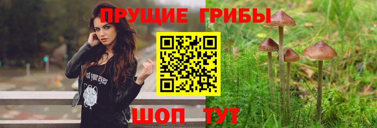 Псилоцибиновые грибы мухоморы Конаково